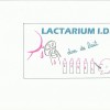 Comment se passe le don de lait au lactarium ? don-de-lait-dessin-bébé-foncé