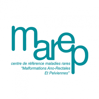 logo 2 logo 2