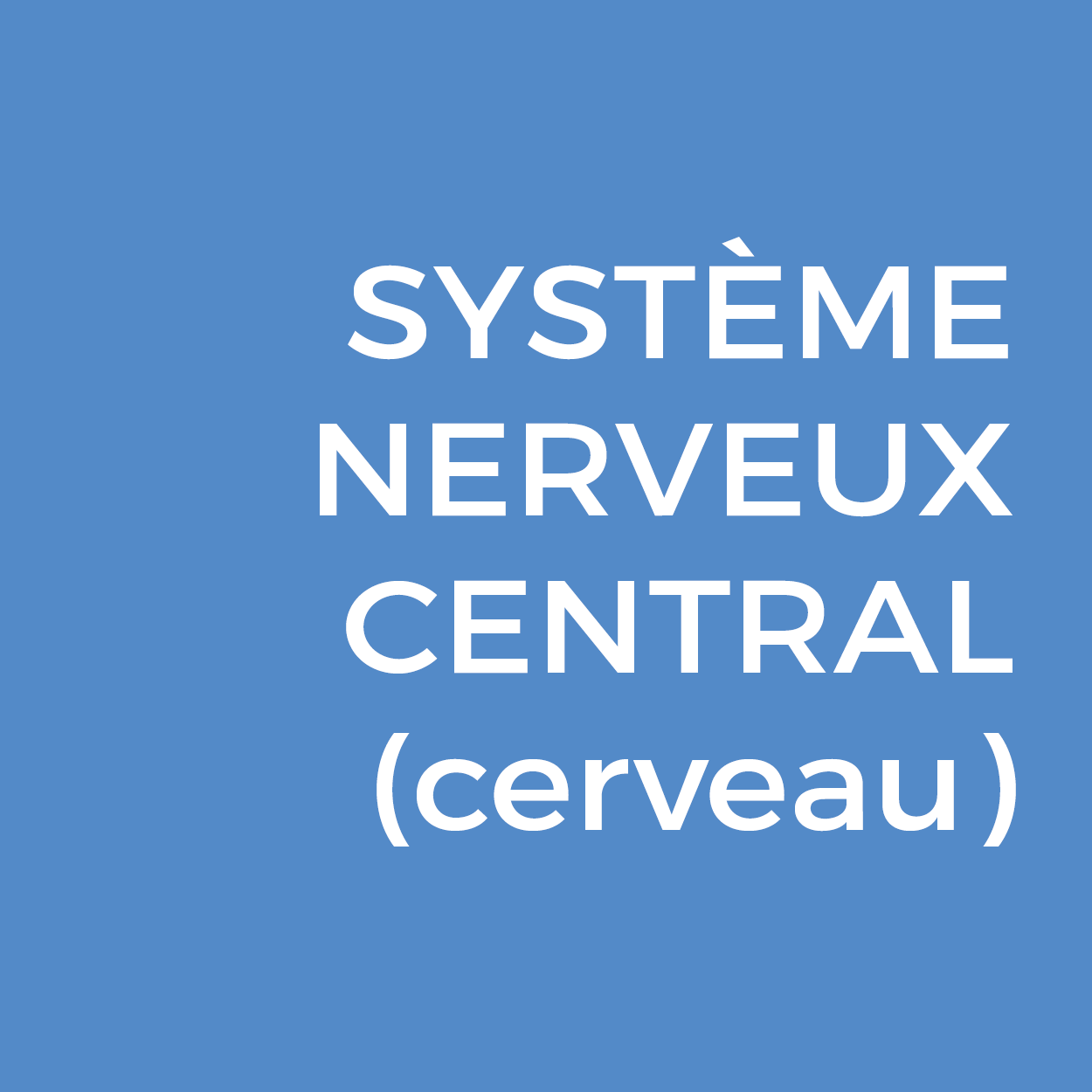 Encart cancers cerveau2