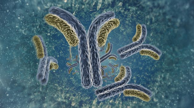 ThinkstockPhotos-483185601-630x350