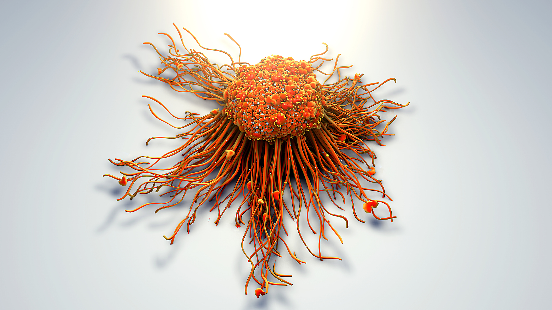 Cancer cell