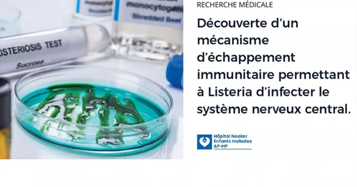 Découverte d’un mécanisme d’échappement immunitaire permettant à ...