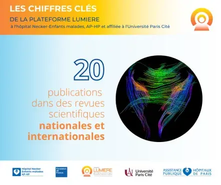 20 publications de revues scientifiques nationales et internationales