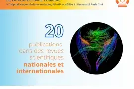 20 publications de revues scientifiques nationales et internationales
