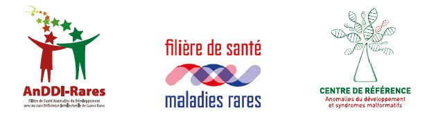 Bandeau filière AnDDI-Rares et anomalies développement