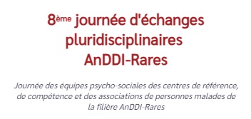 Bandeau 8e journée AnDDI-Rares 2023