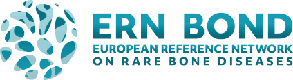Logo ERN Bond