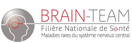 Logo brain team