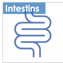 Intestin