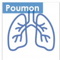 Poumon